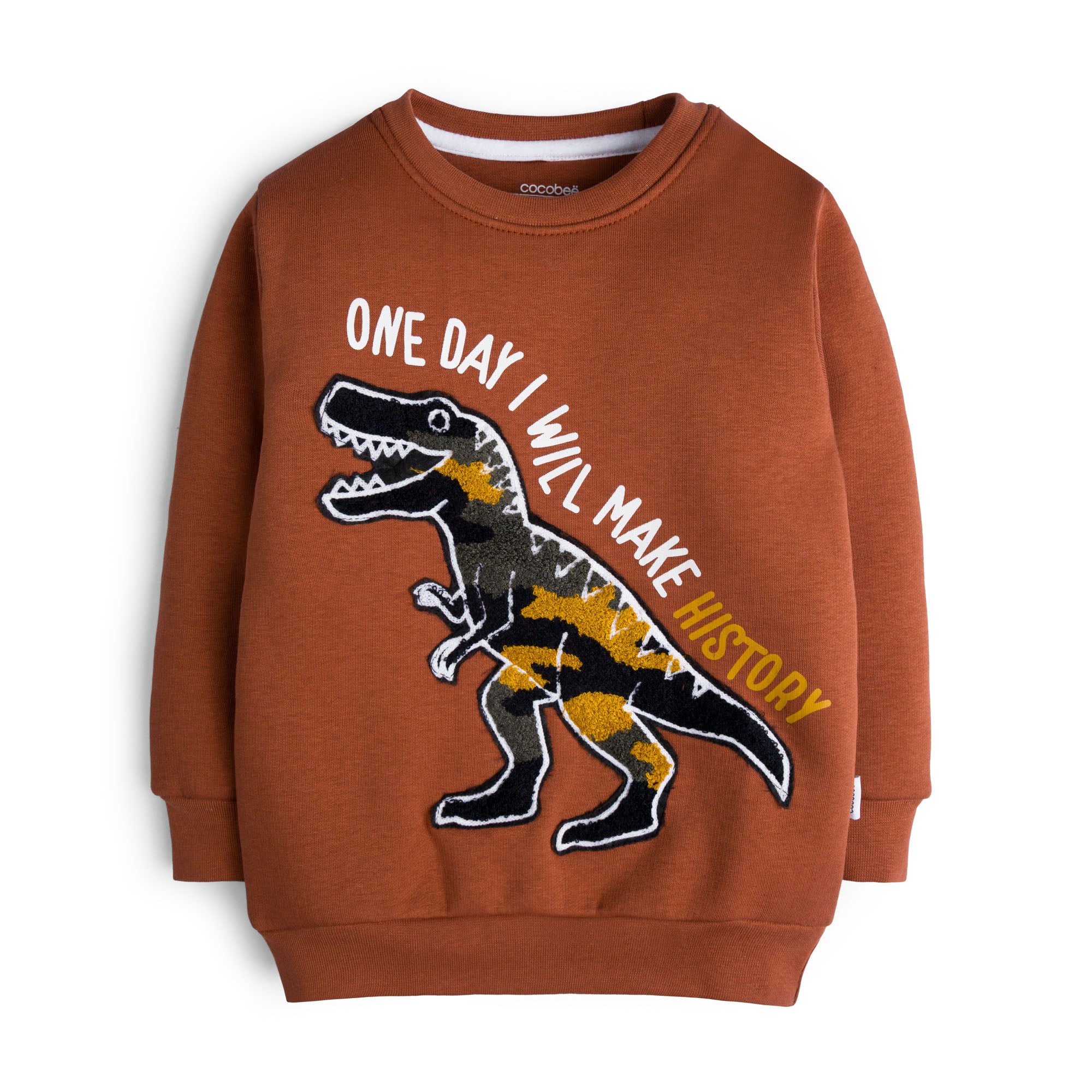 Brown T-Rex Sweatshirt