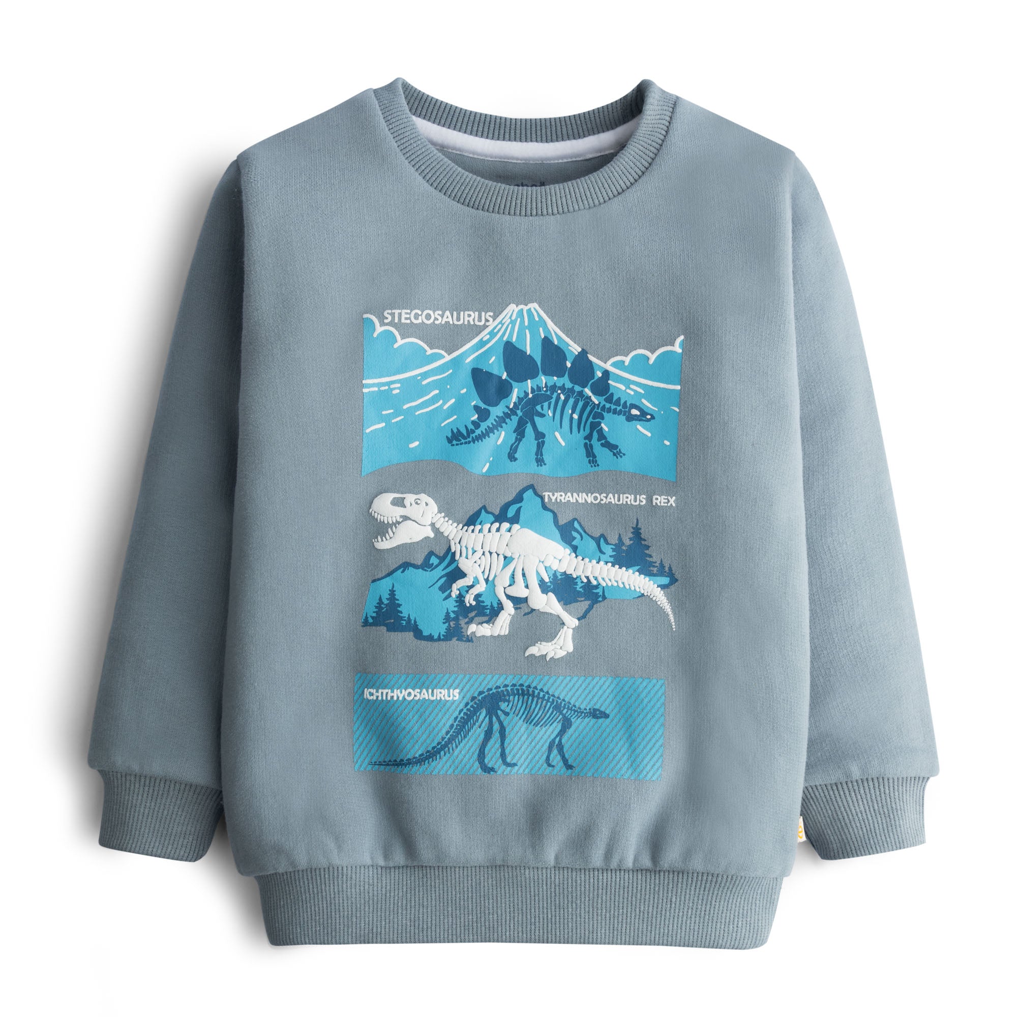 Bluestone Printed Sweatshirt