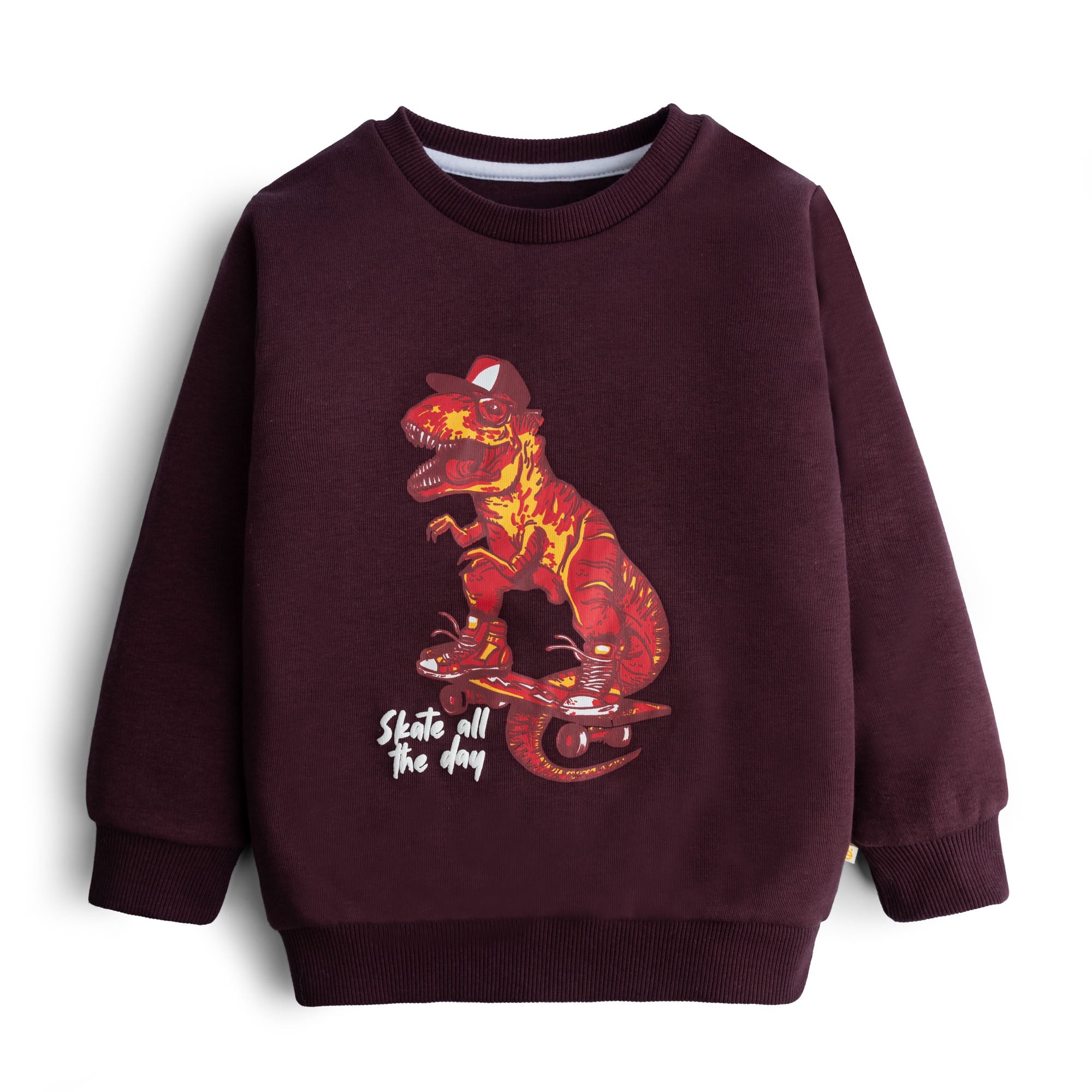 Skater Printed Sweatshirt