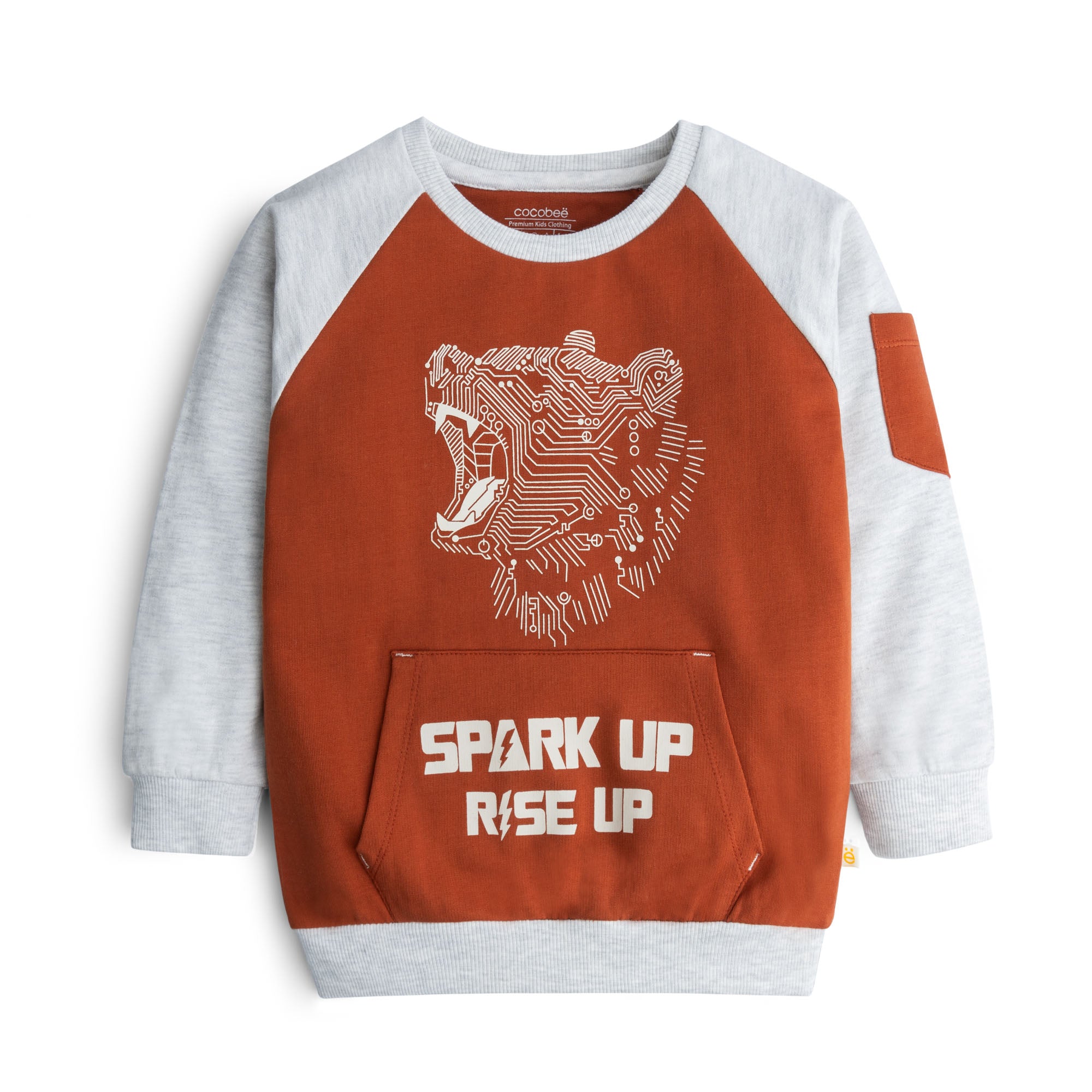 Rusty Raglan Printed Sweatshirt