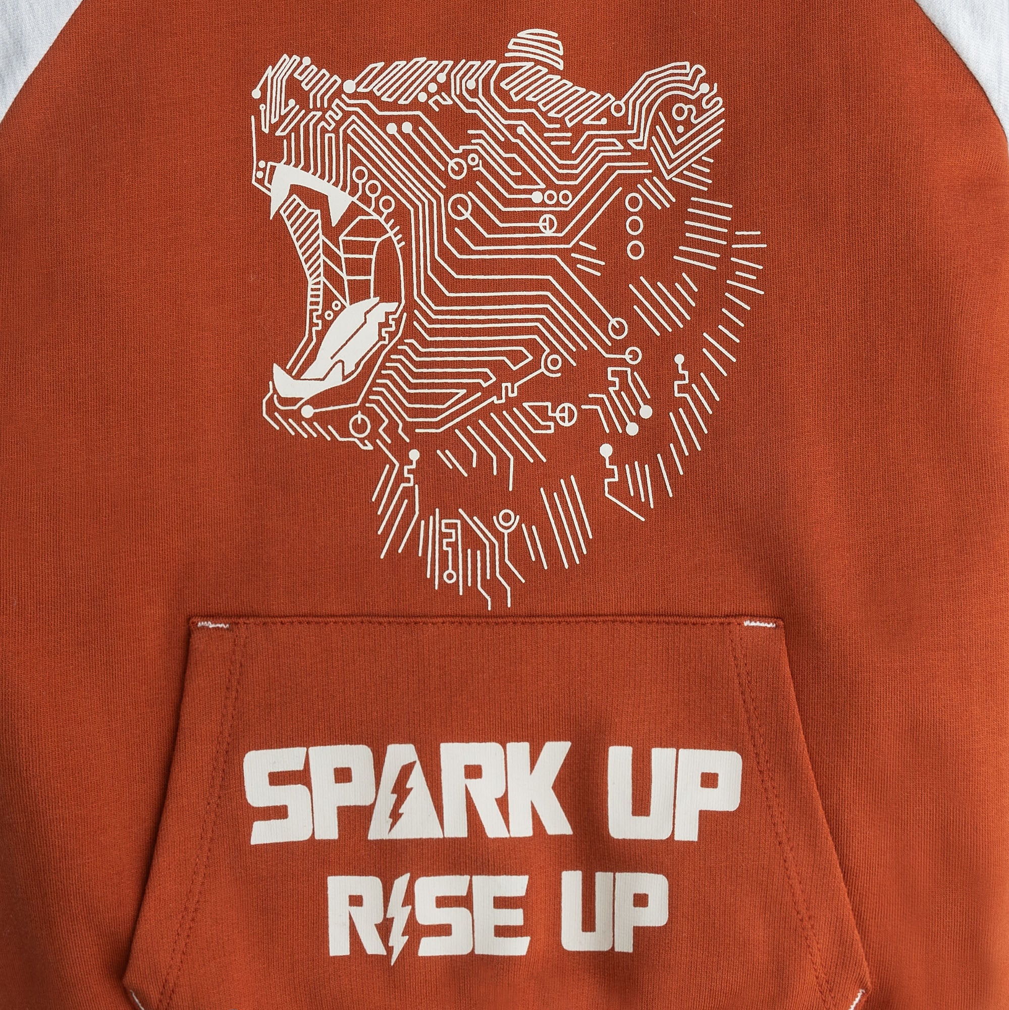 Rusty Raglan Printed Sweatshirt