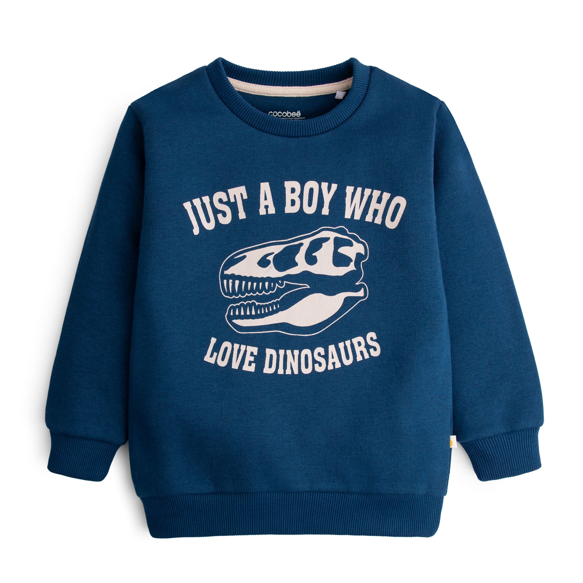 Dino Love Graphical Sweatshirt