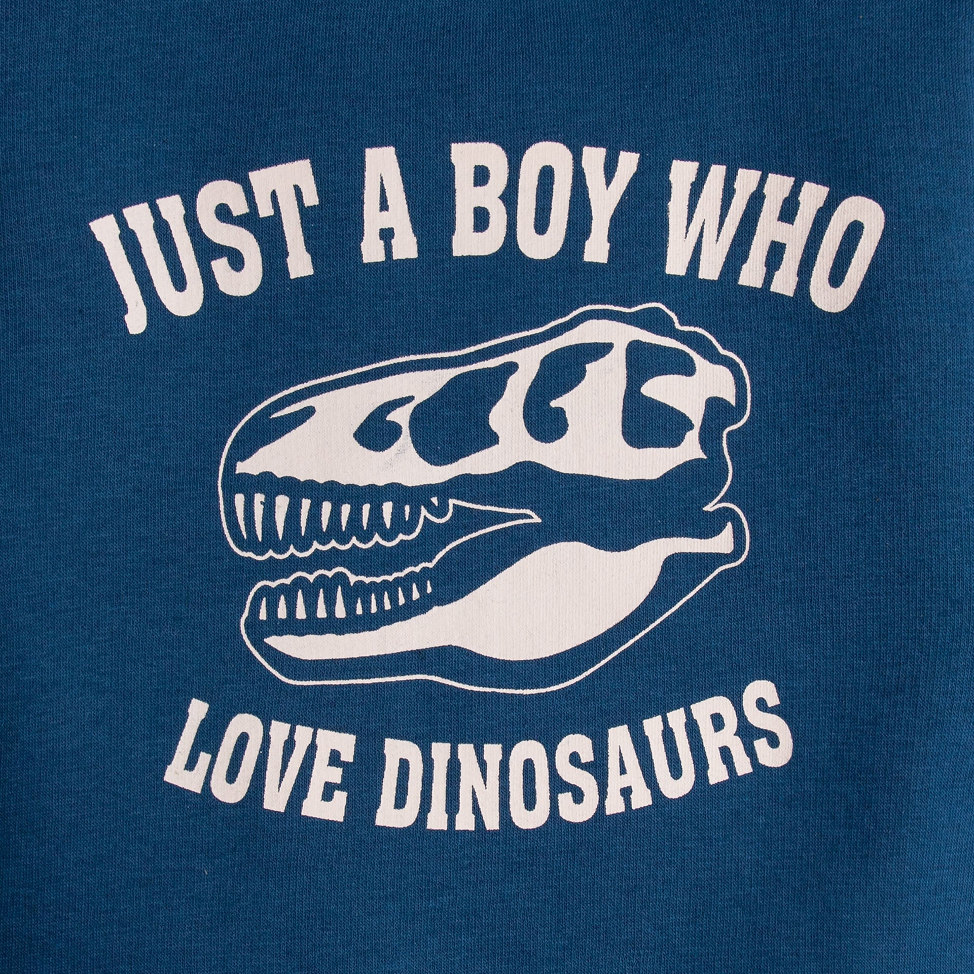 Dino Love Graphical Sweatshirt