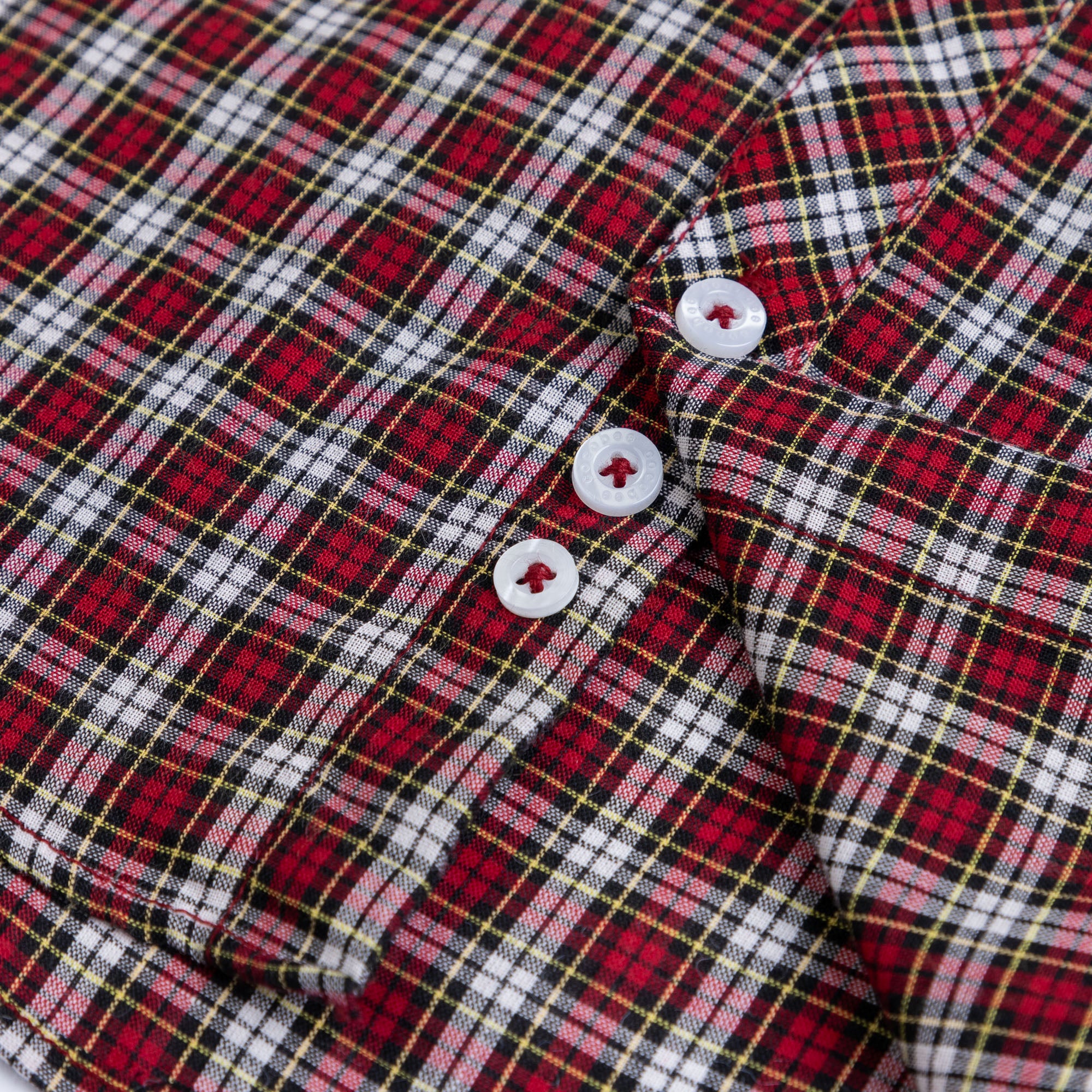 Button-Down Check Shirt