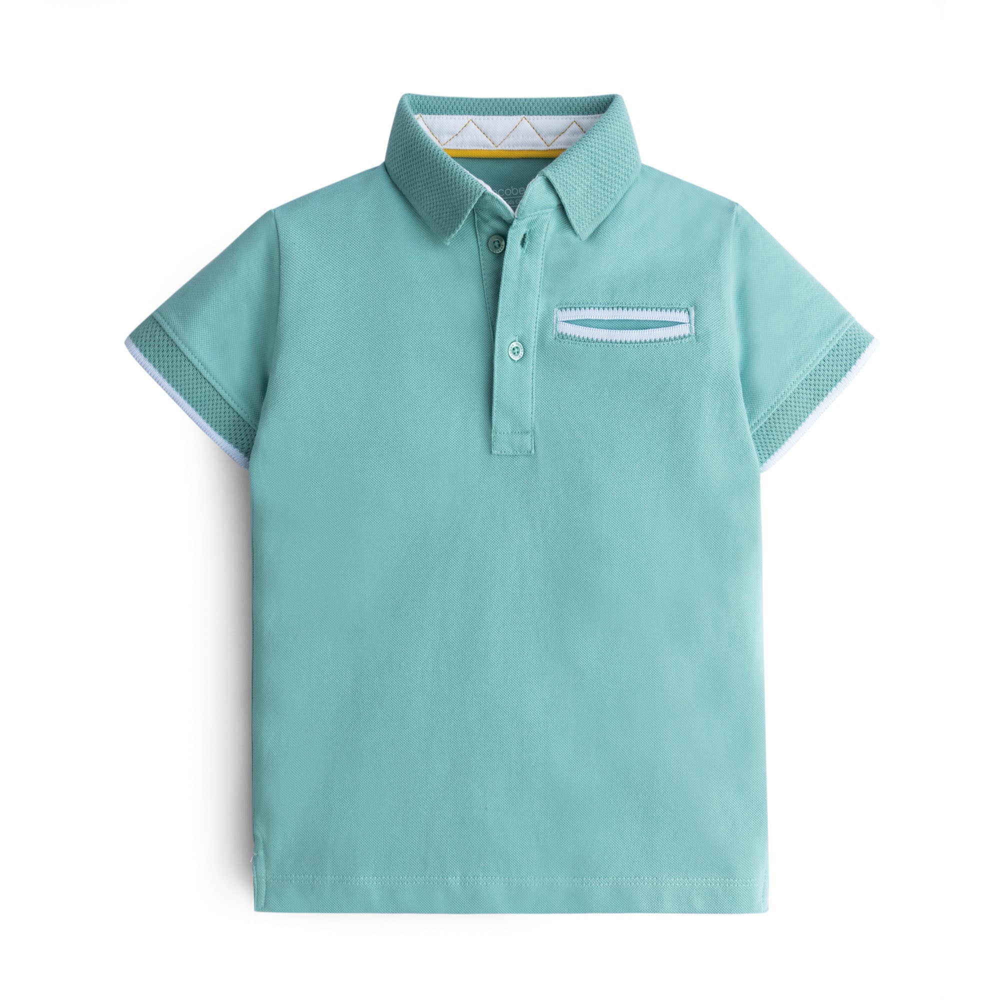 Oceanic Blue Solid Polo