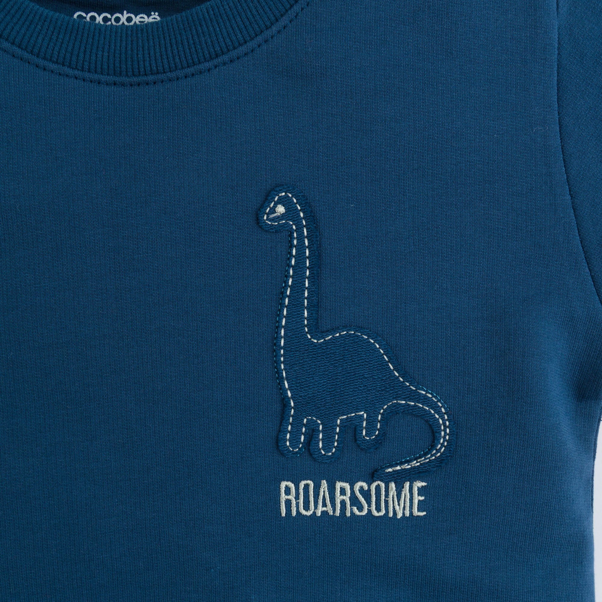 Bold Blue Roarsome Two-Pack