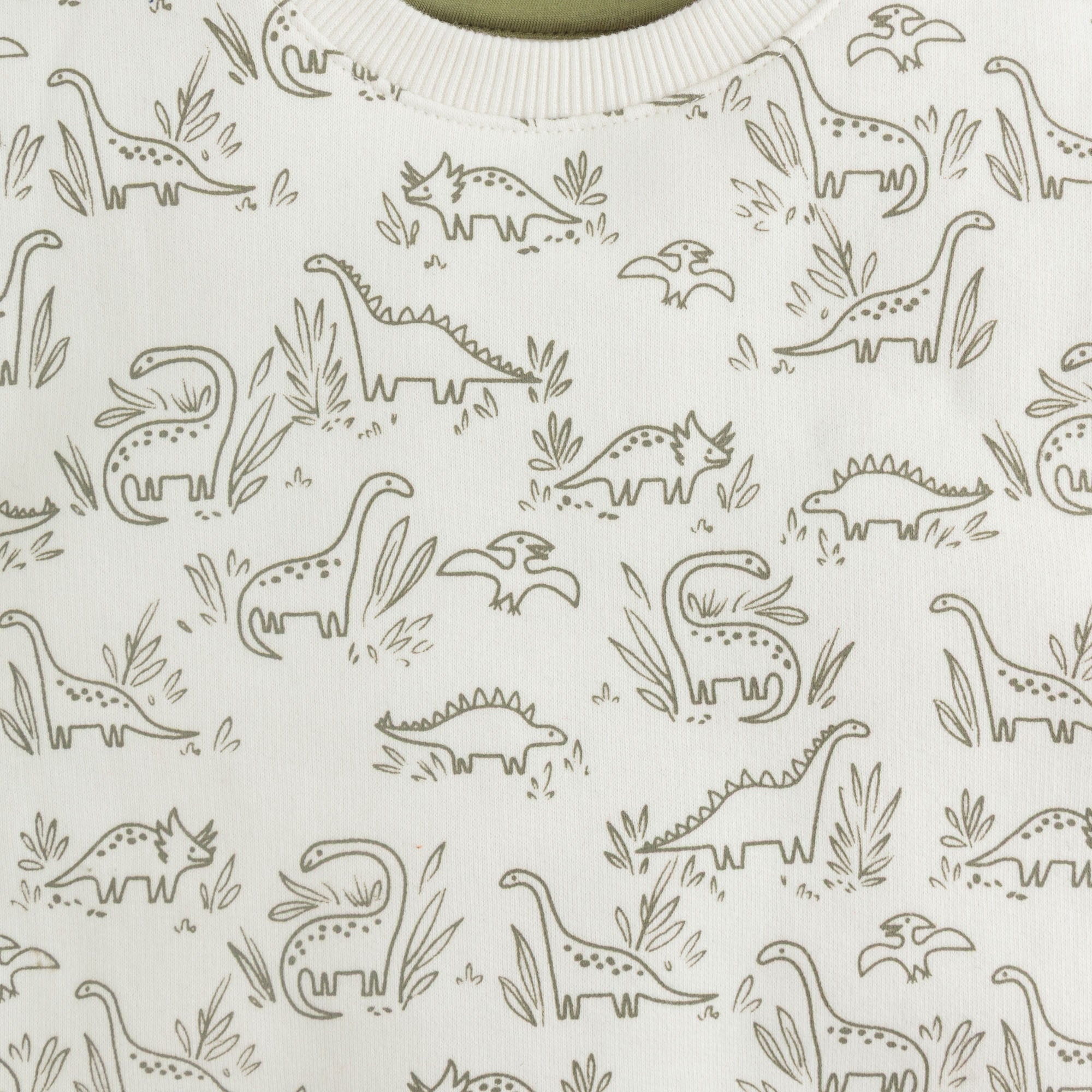 Dino Trail Printed Duo Pack