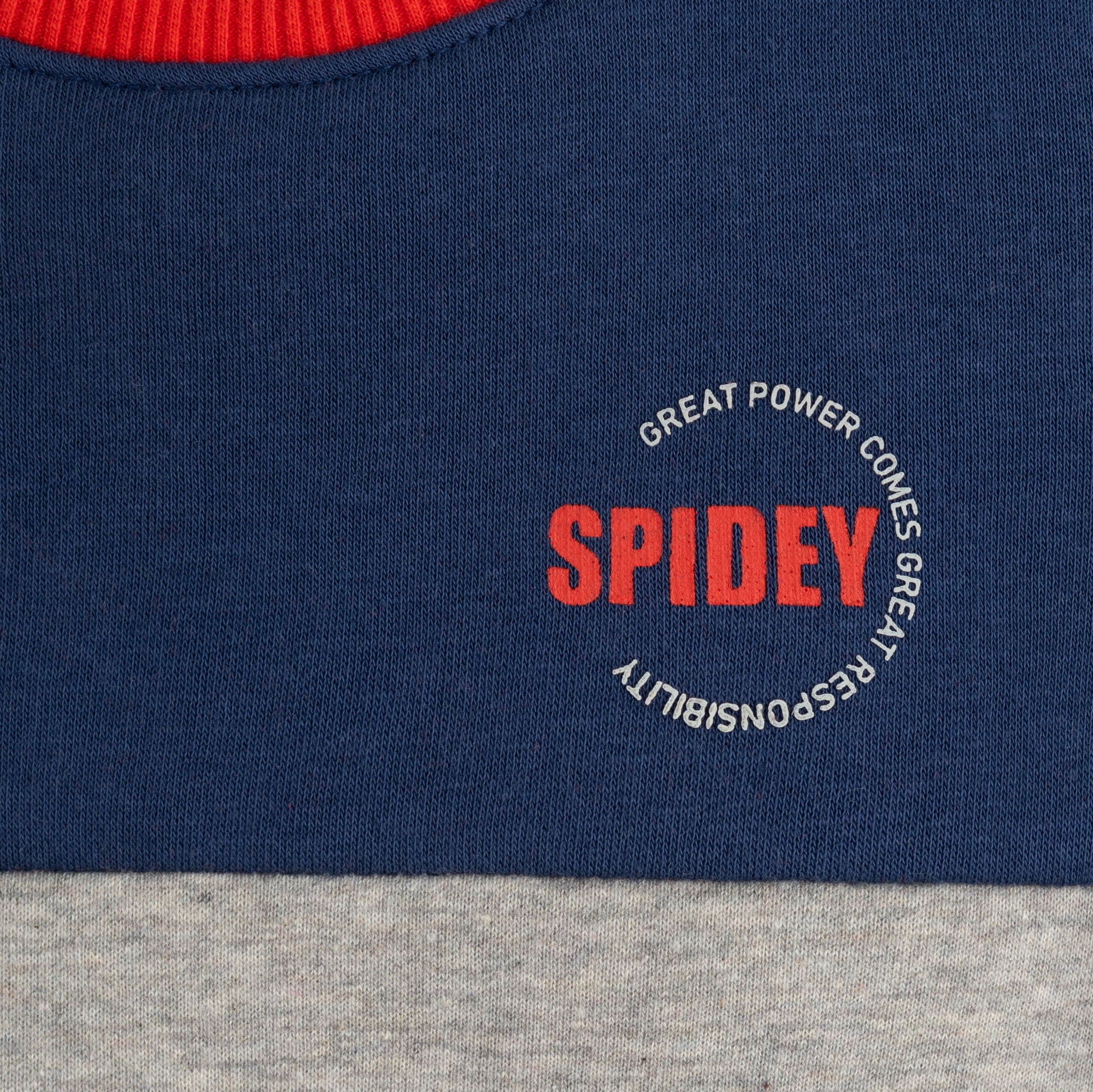 Spidey Blocks Sweatshirt