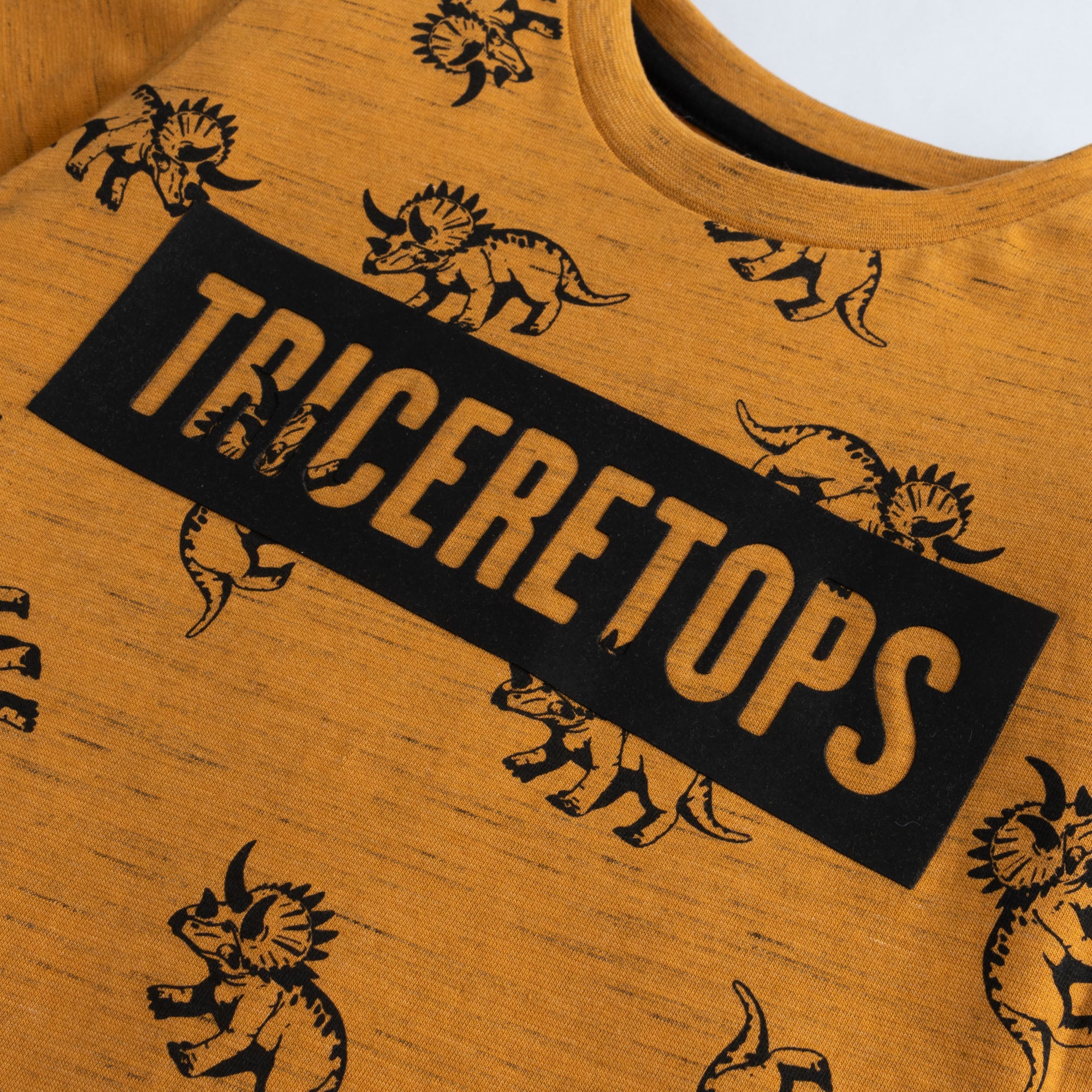 Triceratops Two-Pack