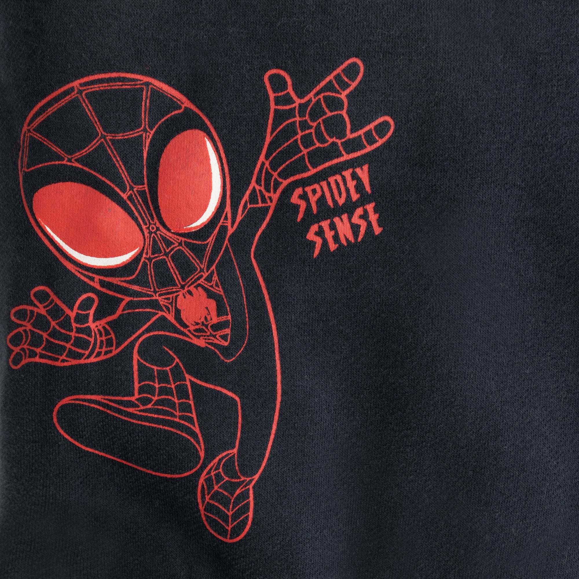 Spidey Swing Two-Pack
