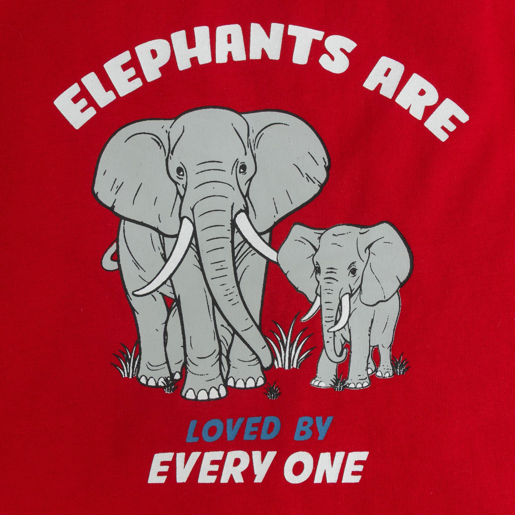 Elephant Print T-Shirt & Shorts Set