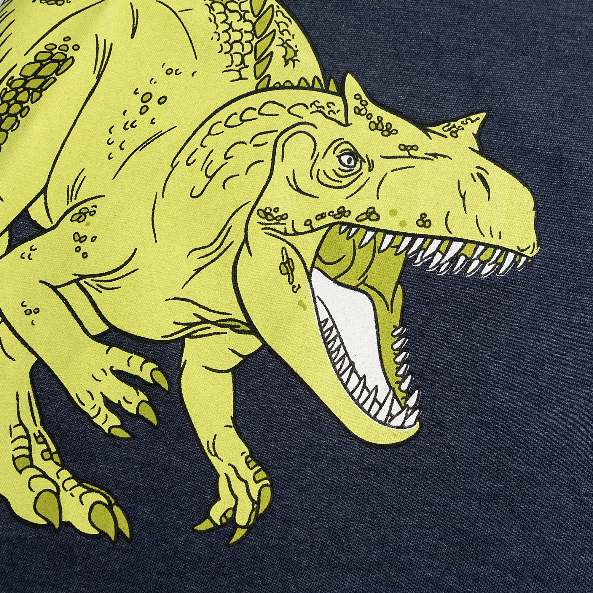 RAWR-some Casual T-Shirt