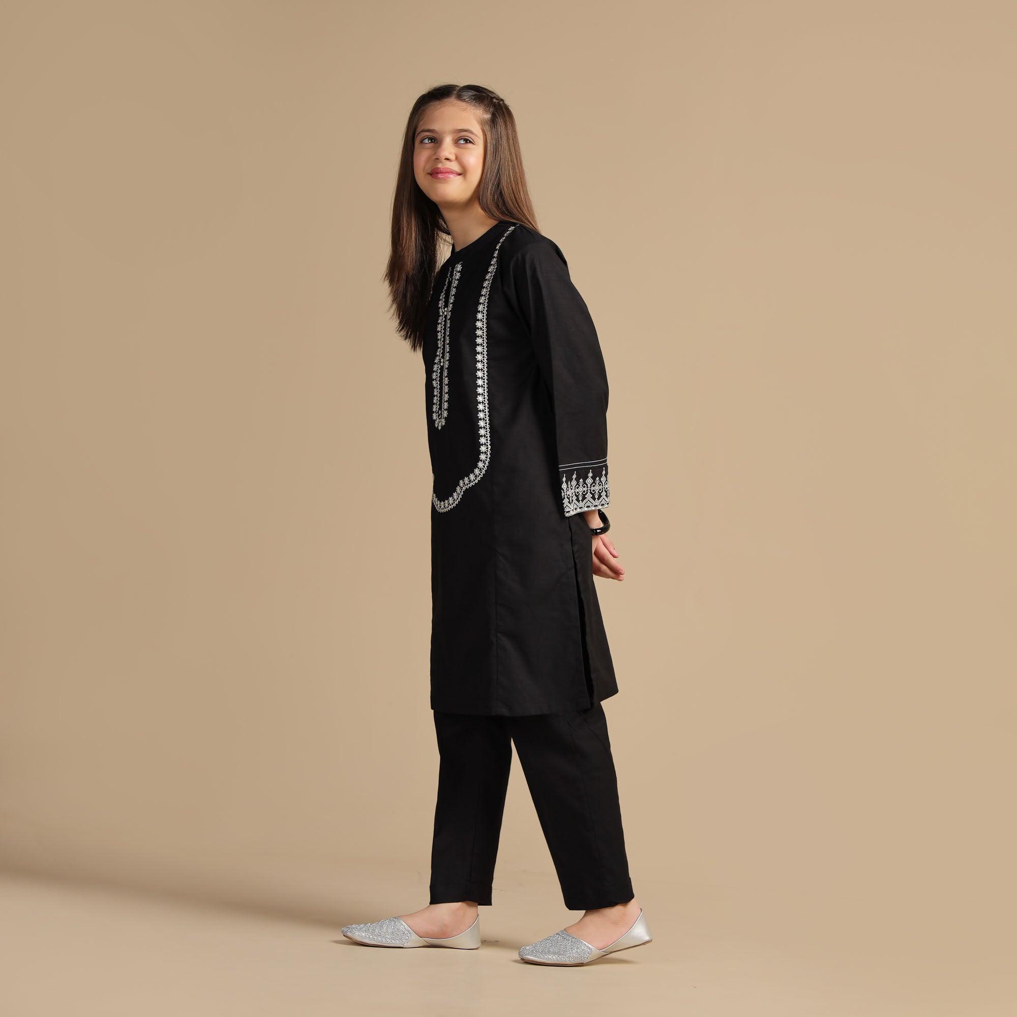 Midnight Charm Embroidered Dress