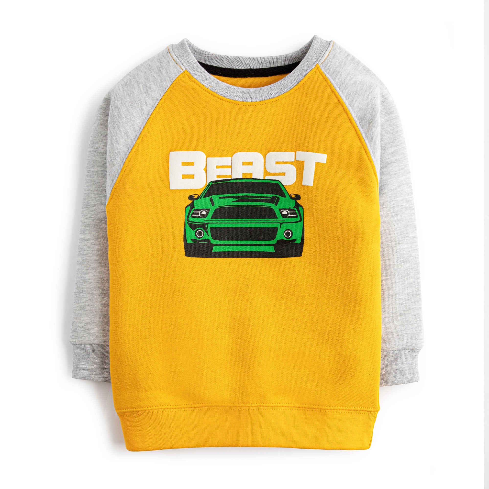 Beast Car Sweatshirt