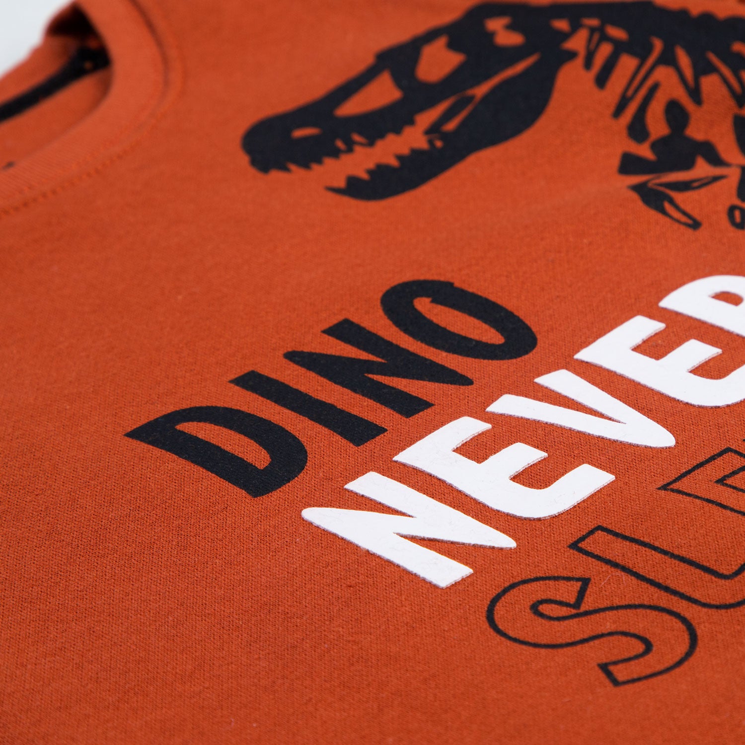 Dino City Sweatshirt
