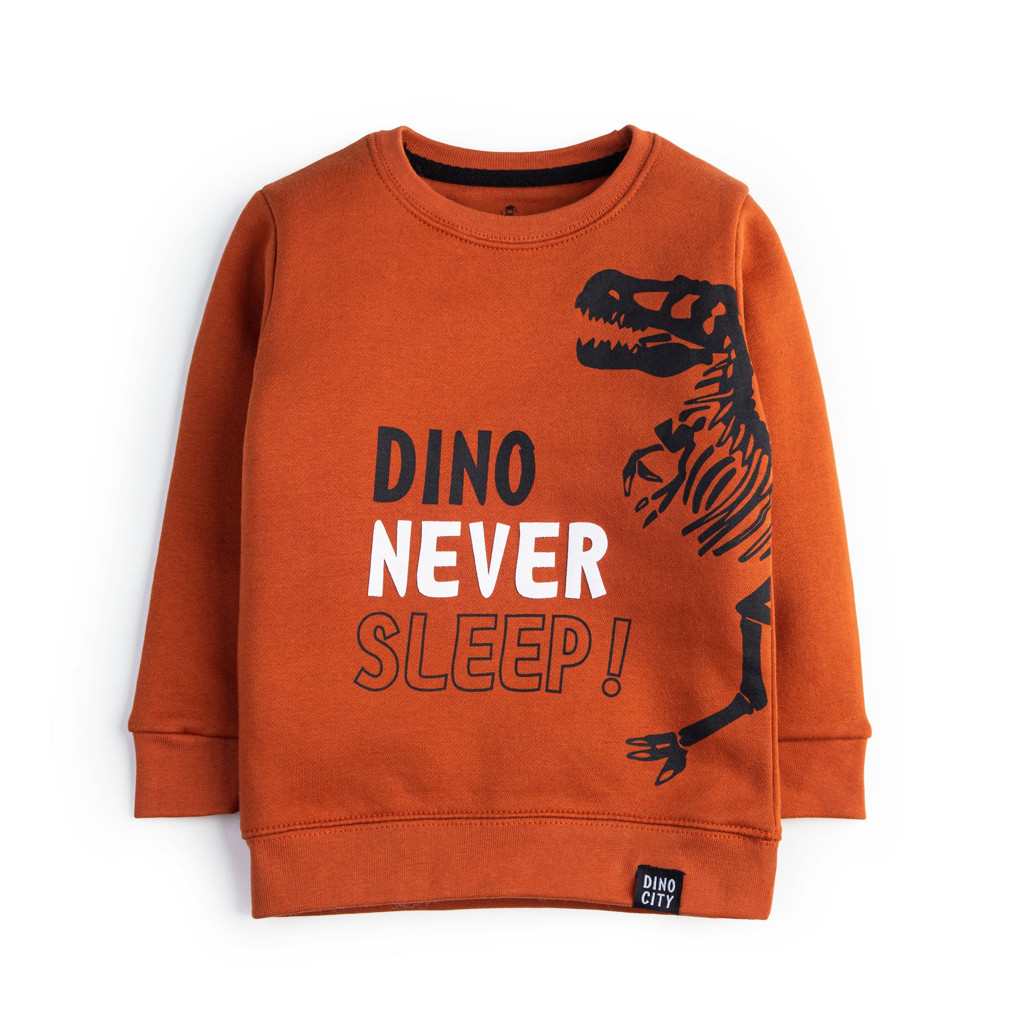 Dino City Sweatshirt