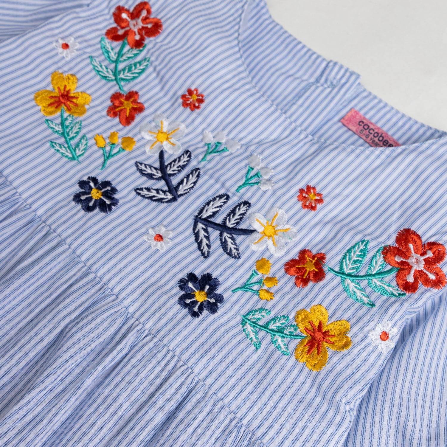 Blue Stripper Embroidered Tunic